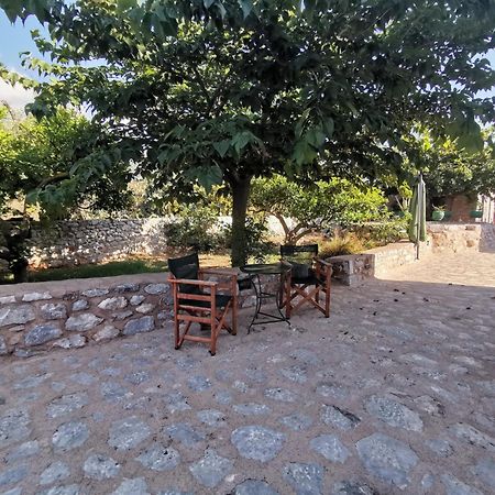 Guesthouse Toxotis Pyrgos Dirou Экстерьер фото