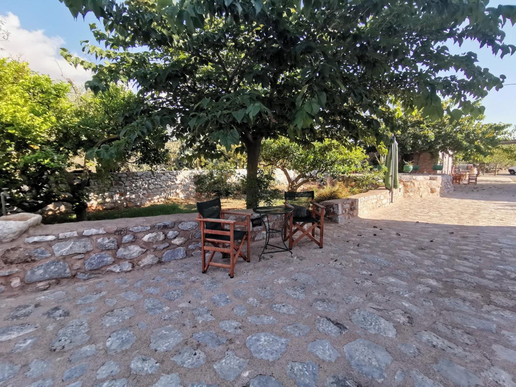 Guesthouse Toxotis Pyrgos Dirou Экстерьер фото